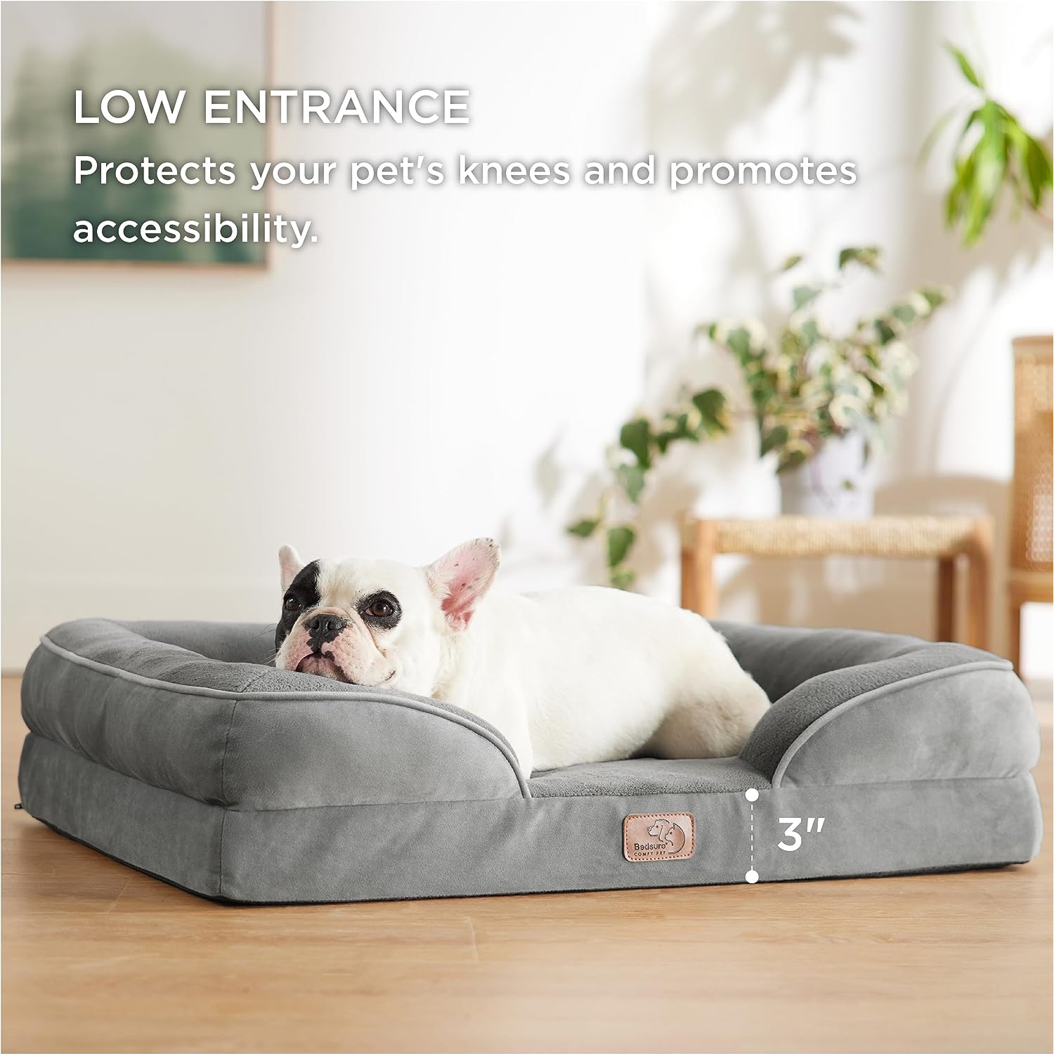 Dog Bed