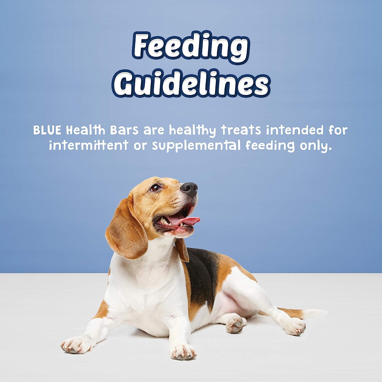 Dog Treats