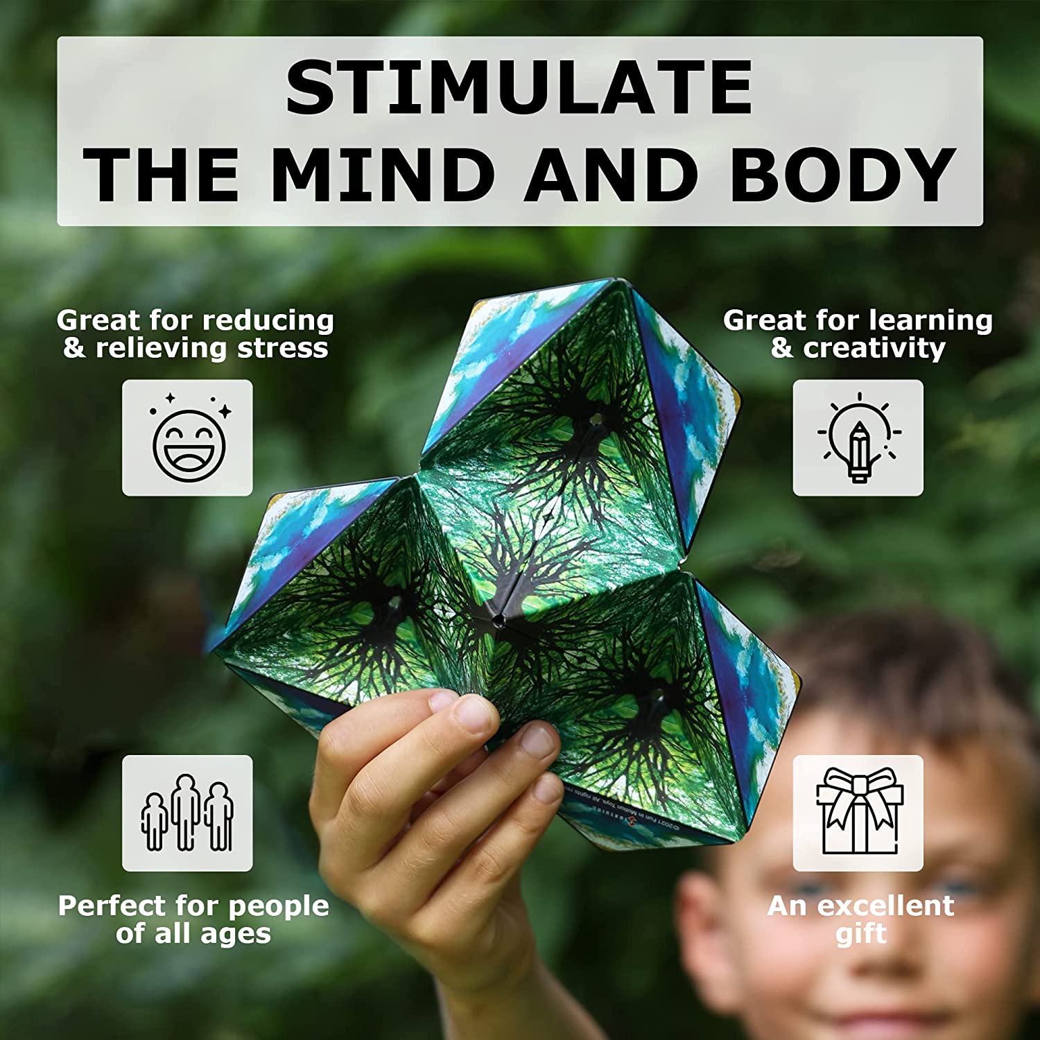 Shape Shifting Box
