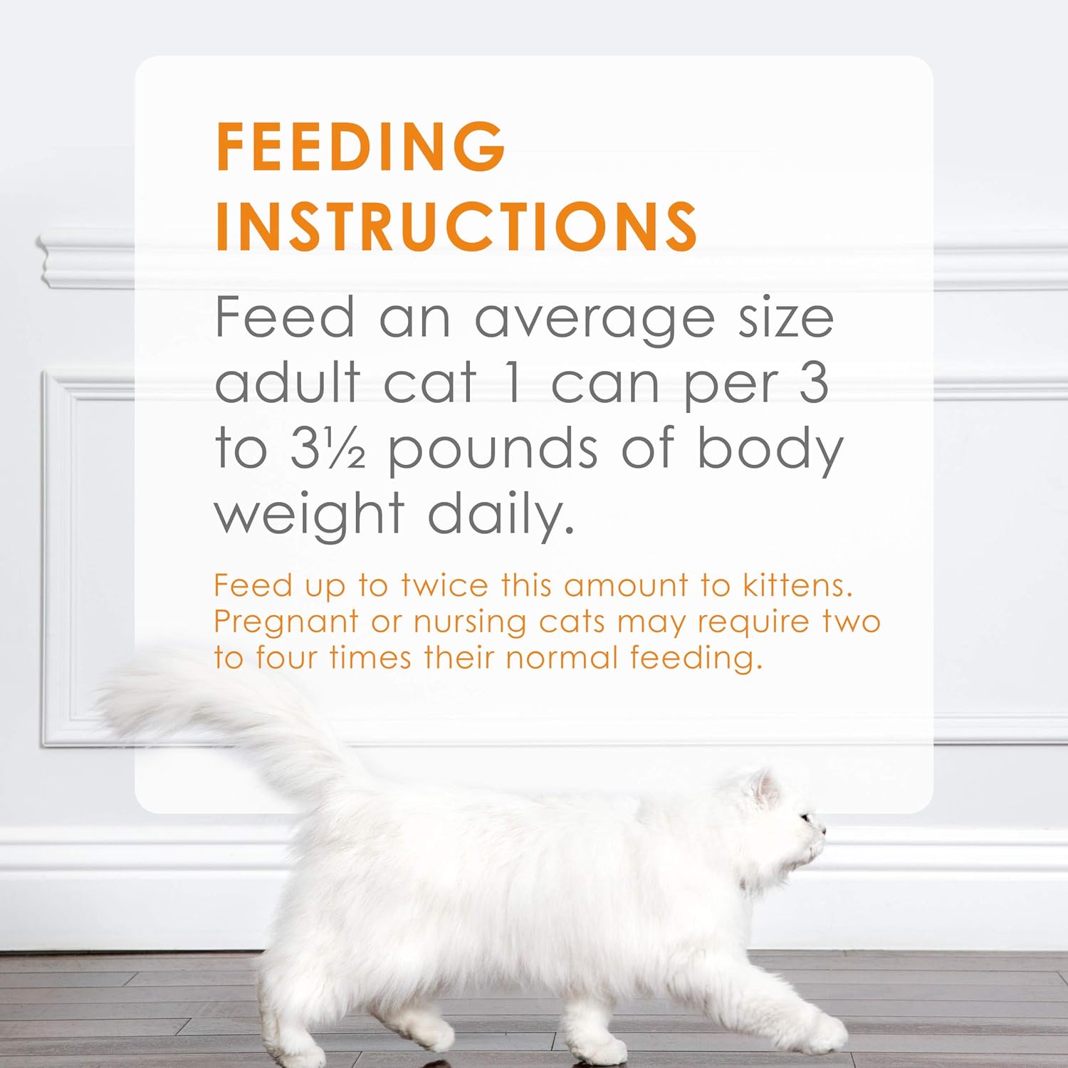cat food