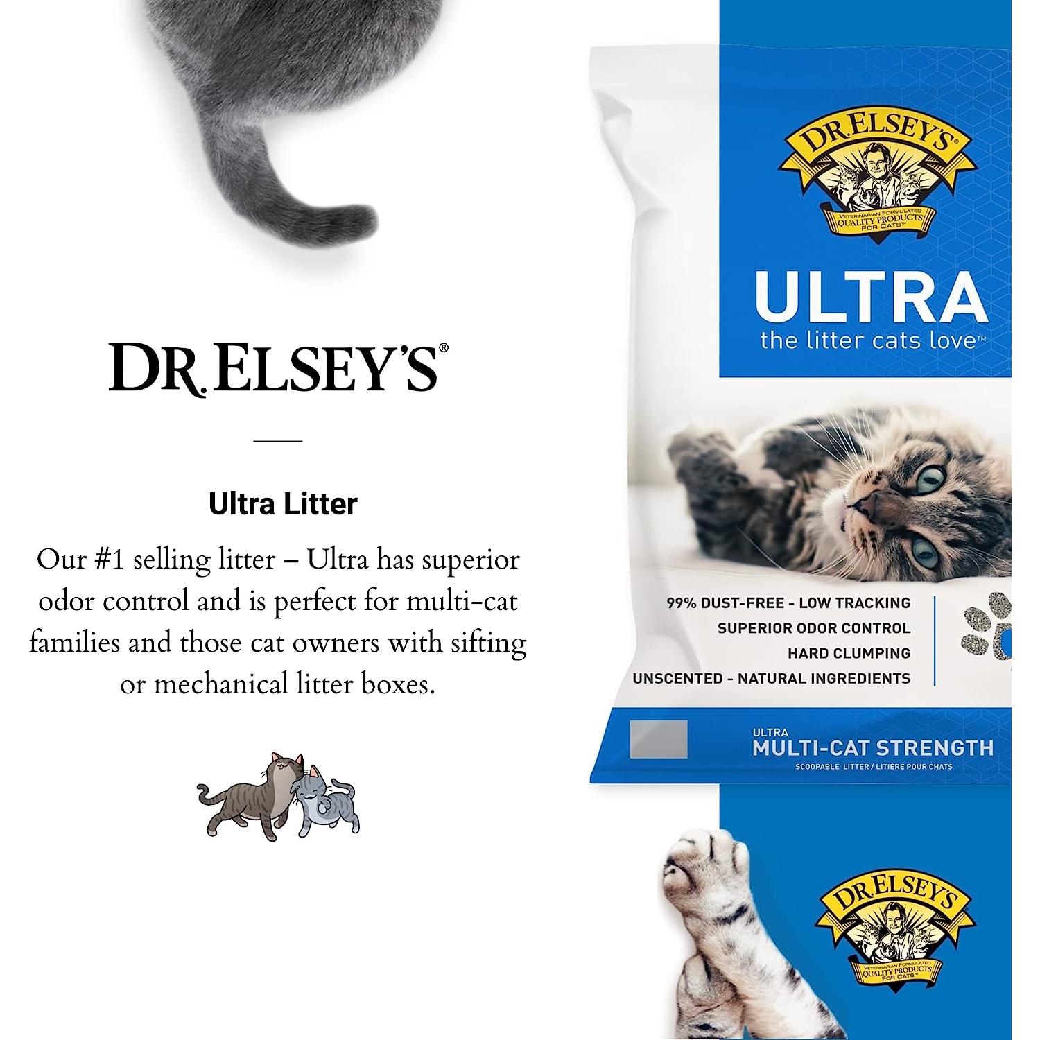 cat litter