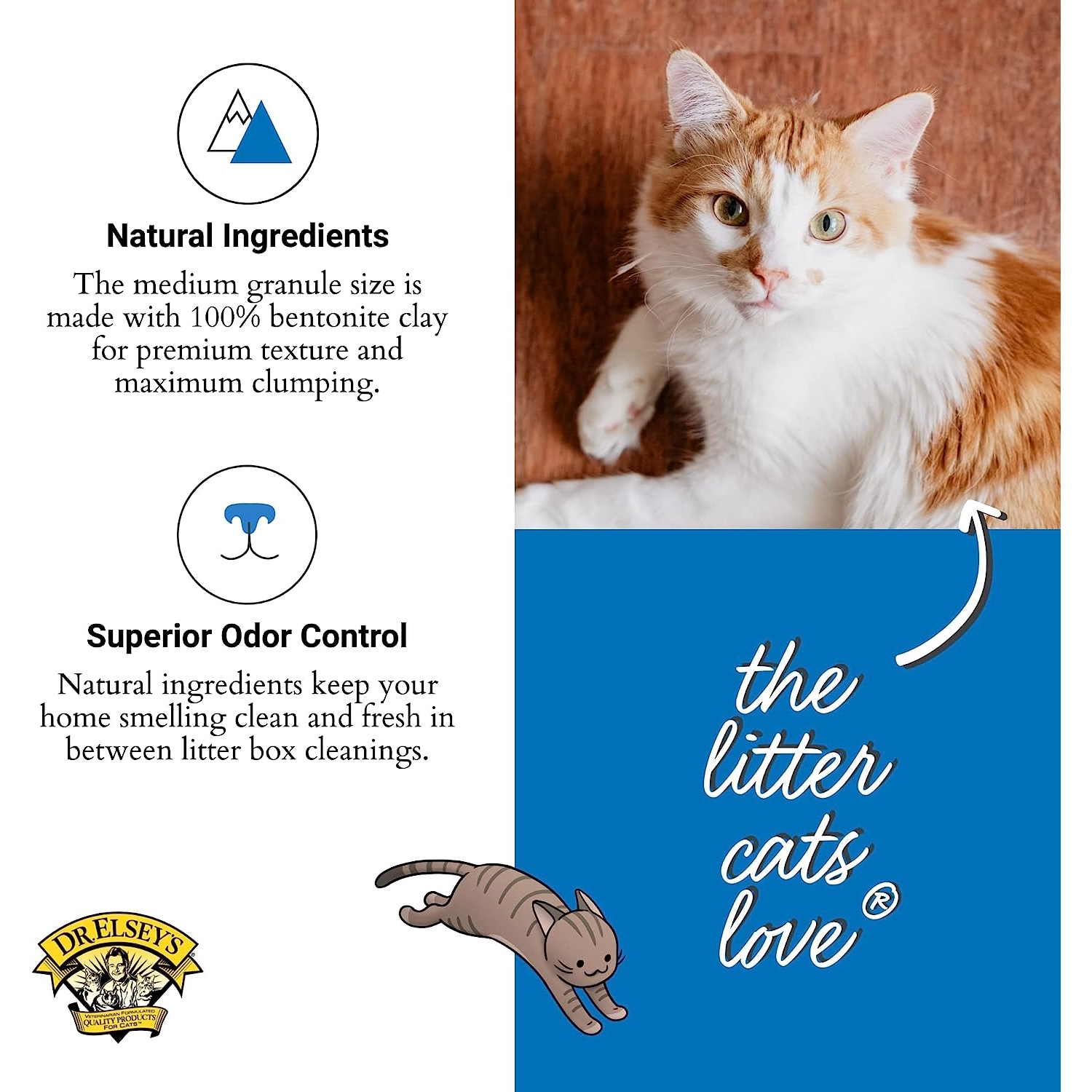 cat litter