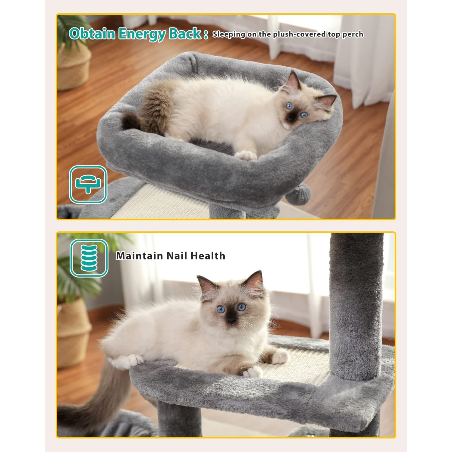 cat tree