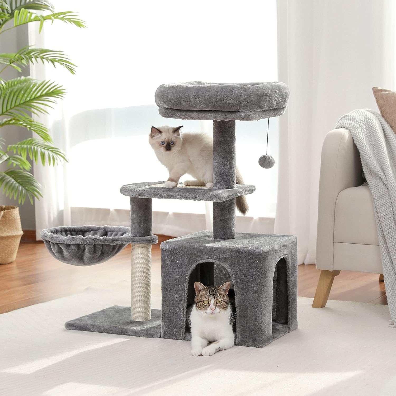 cat tree