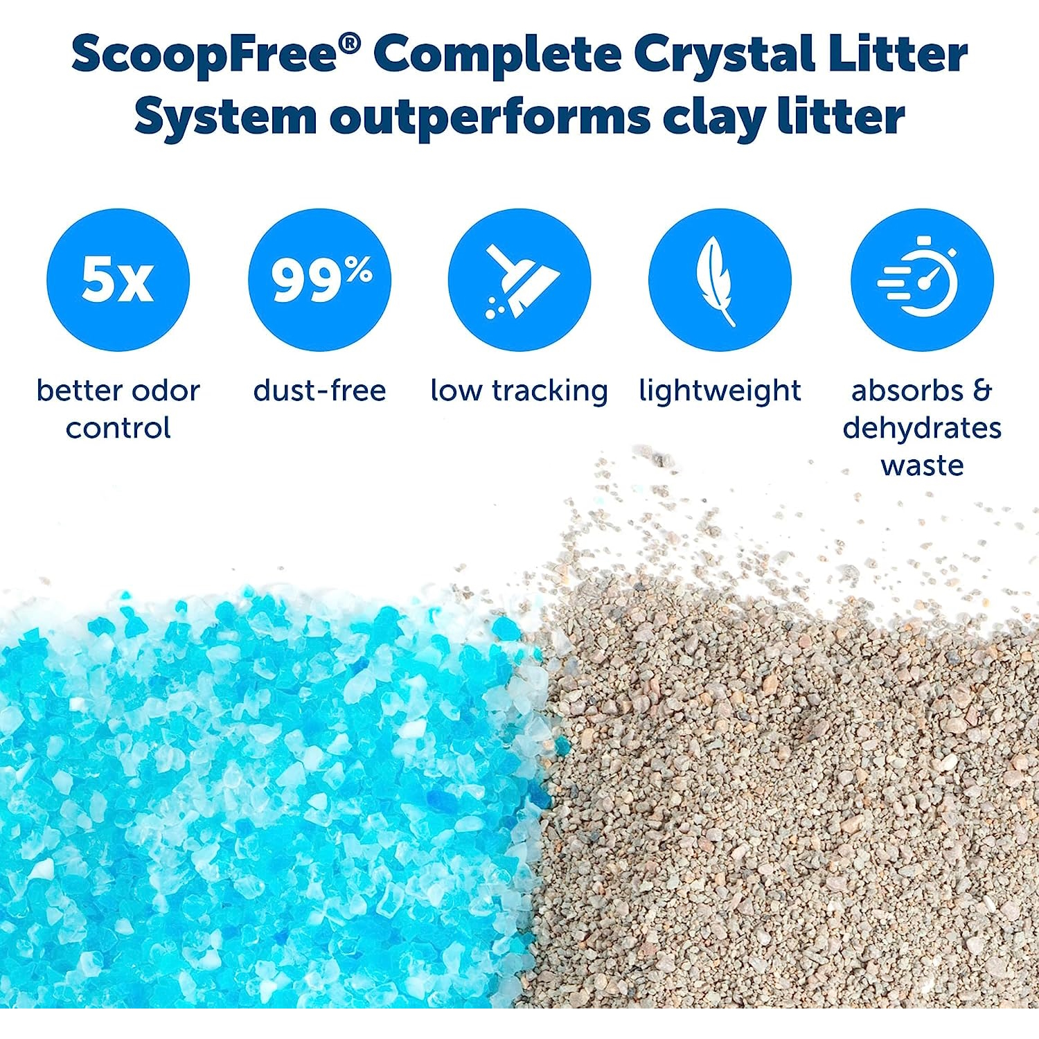 litter box