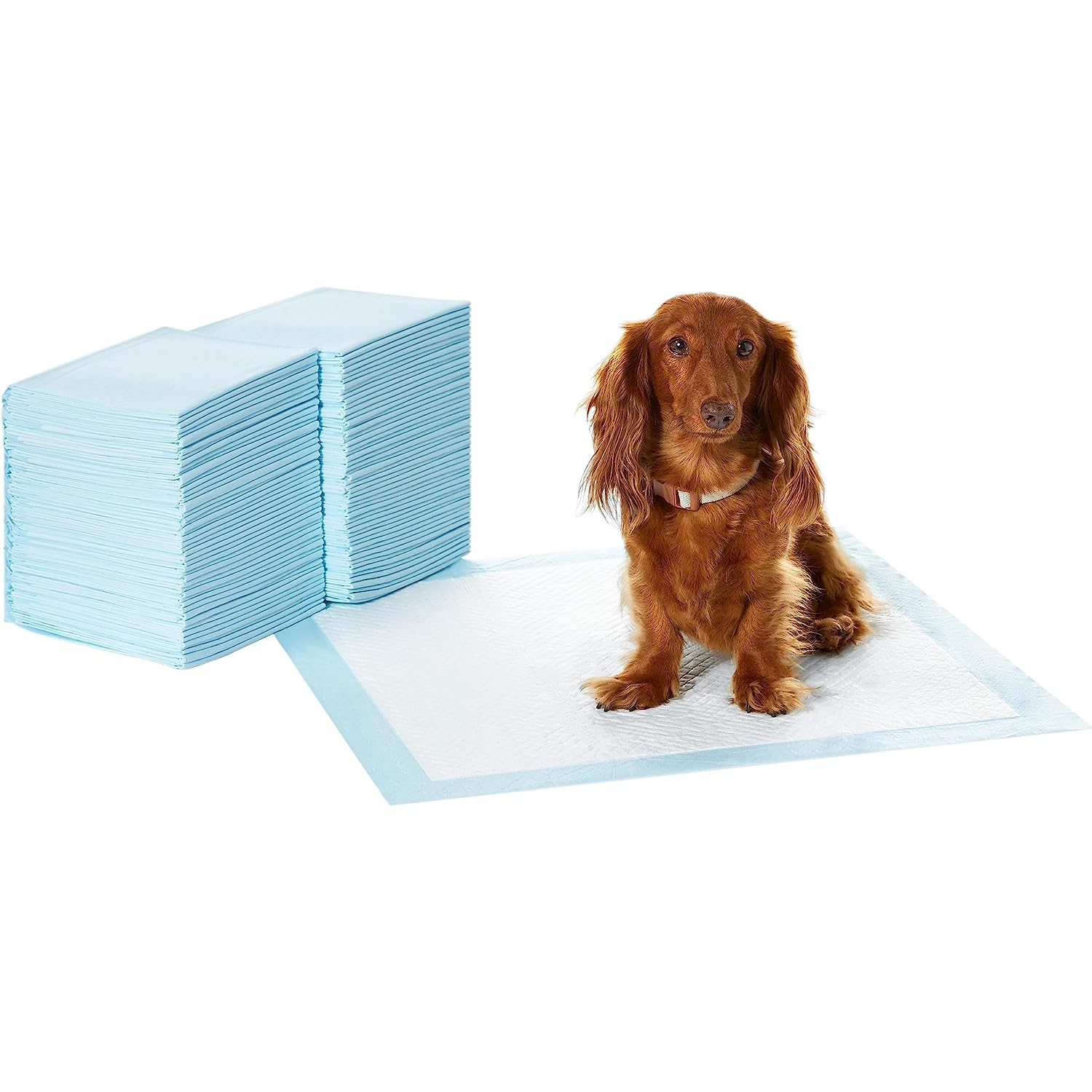 pee pads